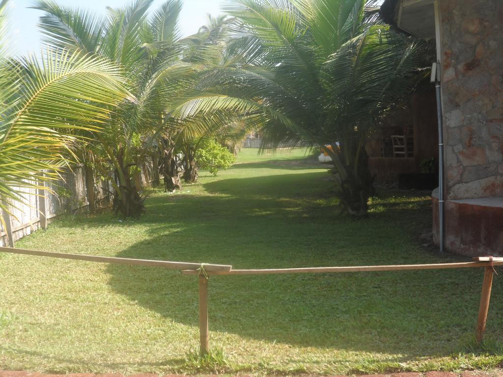 Prampram Legacy Tribe Beach Resort المظهر الخارجي الصورة