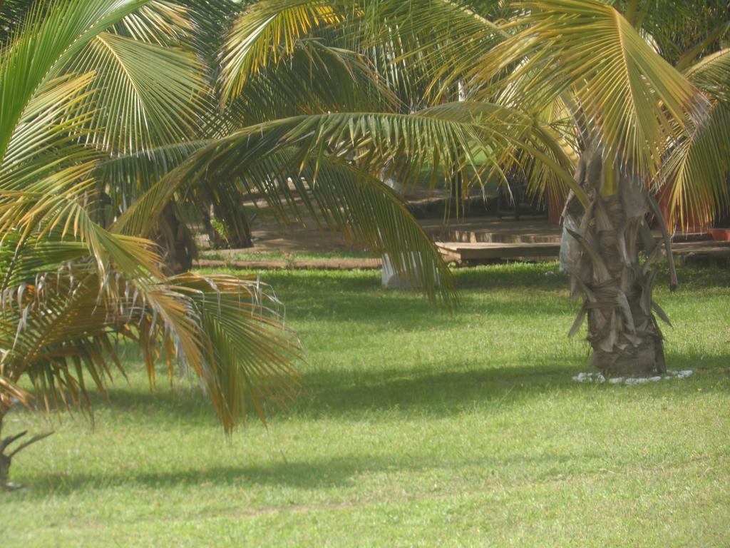Prampram Legacy Tribe Beach Resort المظهر الخارجي الصورة